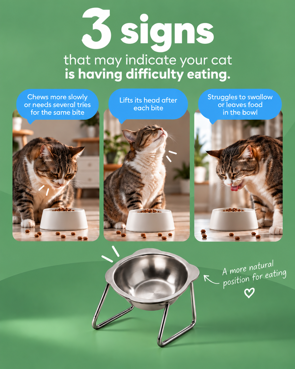 Purylin™ orthopaedic bowl